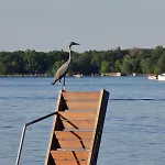 Havelhaus * ורדר