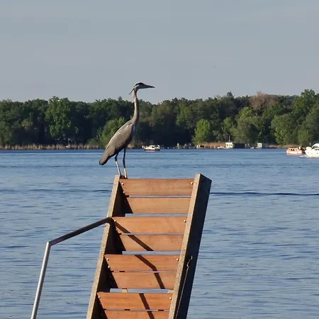 Havelhaus * Werder (Havel)