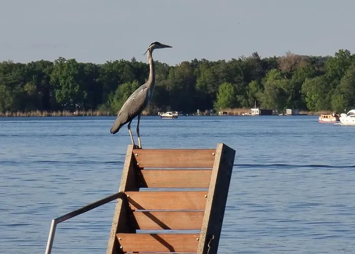 Havelhaus * Werder (Havel)